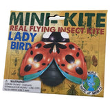 Mini Flying Insect Kites, ladybird packaged