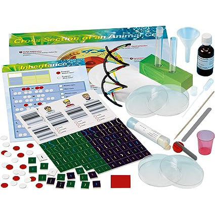 Genetics & DNA Lab - contents 