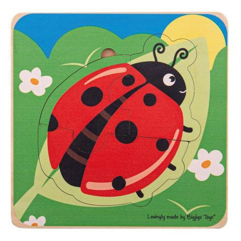 Life cycle layer puzzle ladybird complete and unpackaged