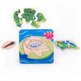 life cycle layer puzzle frog, pieces removed but displayed around board