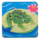 Life cycle layer puzzle frog (unpackaged and completed)
