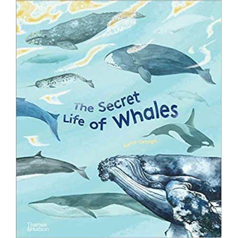 The Secret Life Of Whales (Hardback), front cover