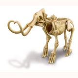 Mammoth Skeleton Excavation Kit, skeleton assembled 