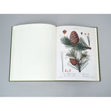 The Observer's Notebook: Trees, fir cones illustration page