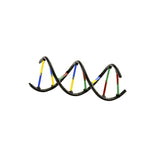 Genetics & DNA Lab - helix model