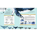 The Secret Life Of Whales (Hardback)m fins page