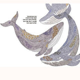 Amazing animal babies, whale page detail 