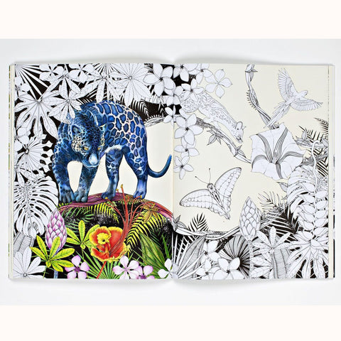 Into the Wild - An Exotic Woodland Colouring Book, coloured in panther detail
