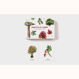 Match A Leaf - A Tree Memory Game, box and pair of cards 