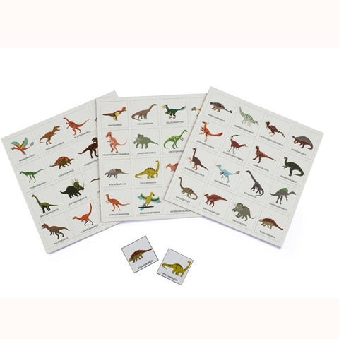 Dinosaur Bingo, some cards and boards shown
