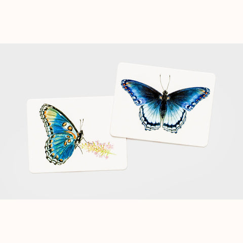 Butterfly Wings - A Matching Game, blue butterfly cards