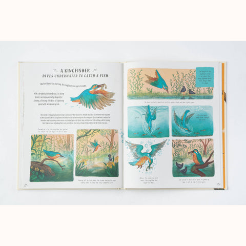 Slow down, page spread on kingfisher