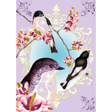 Birds - Glitter Boards by Djeco