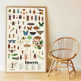 Poppik Poster & Stickers - Insects, finished poster framed next to chair