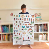 Poppik Poster & Stickers - Insects, finished poster held up in front of child