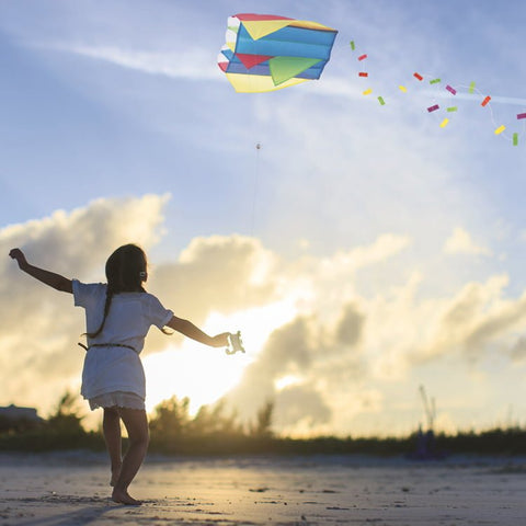 Mini Pocket Kite