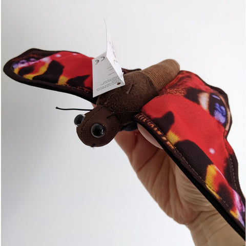Peacock Butterfly finger puppet modelled on adult female hand
