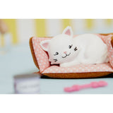 Pandora persian cat lifestyle shot 
