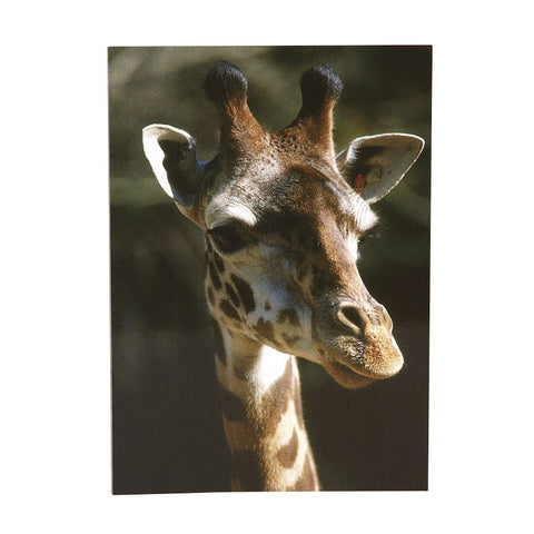 Giraffe Flexi Magnet