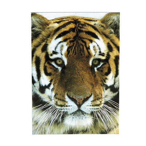 Tiger Flexi Magnet