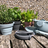Scrunch In The Garden Gift Set - various colours showing collapsible seedling pot 