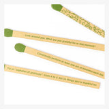 Spark Gratitude, sample matchstick prompts