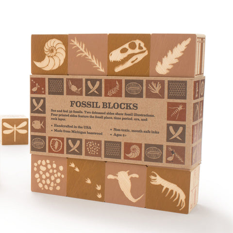 Fossil Blocks , in packaging with one display cube to side 