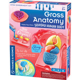 Gross Anatomy - Make Your Own Squishy, front of box slight angle Body 