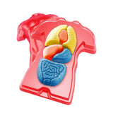Gross Anatomy - Make Your Own Squishy Body , body mould and parts