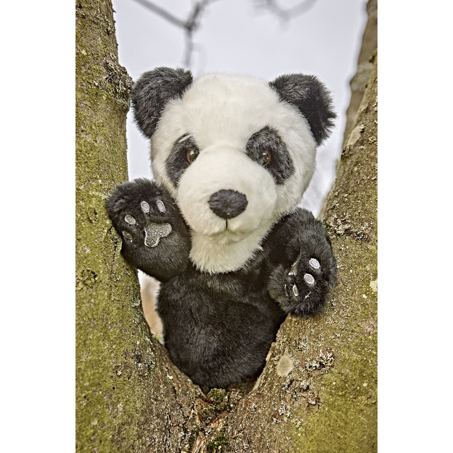 Panda Glove Puppet in tree