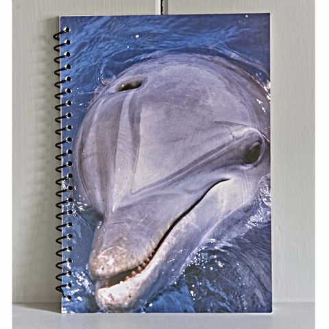 Dolphin Note Book