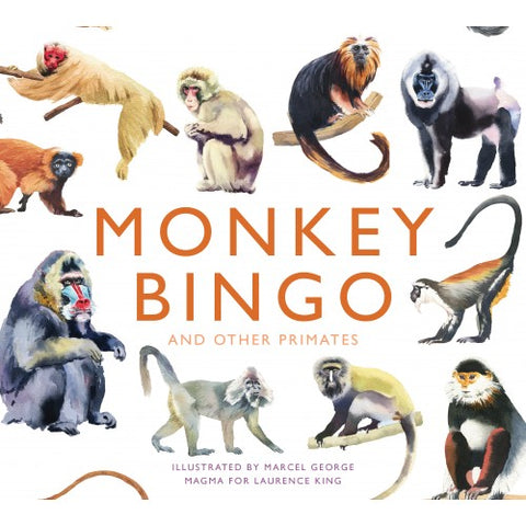 monkey bingo front of box