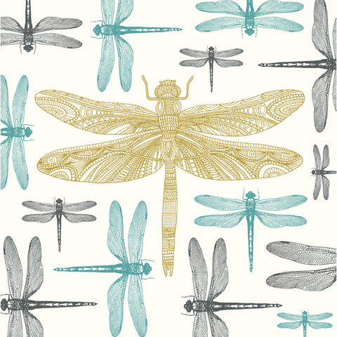 Dragonfly Greeting Card - Eden Project
