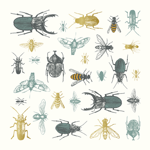 Insect Greeting Card - Eden Project