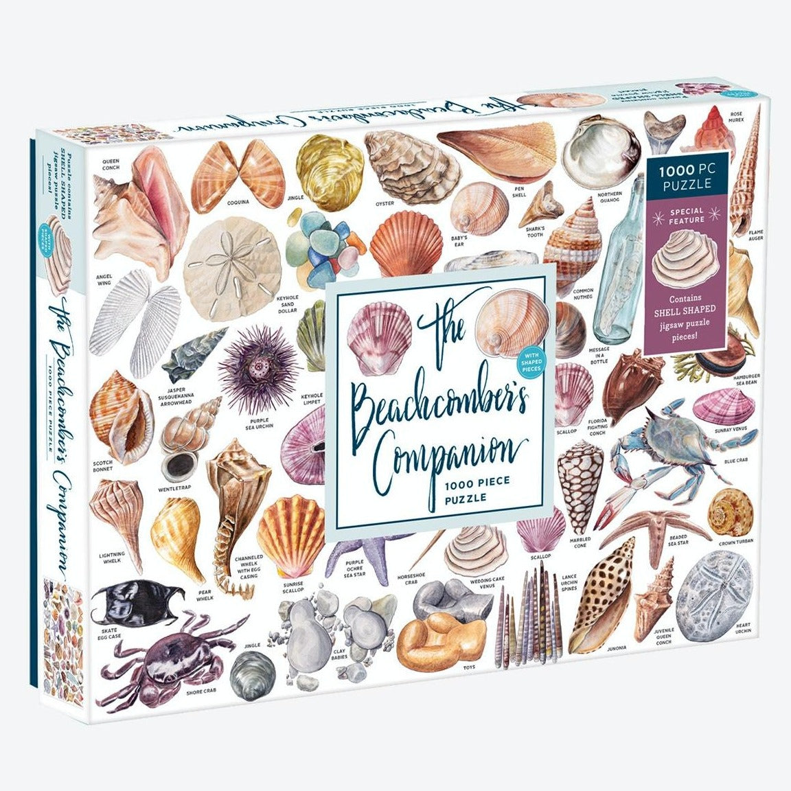 The Beachcomber's Companion puzzle, front of box
