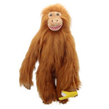 Large orangutan puppet with banana white background 