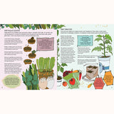 plant sow make grow, sow salad leaves page
