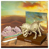 Triceratops Skeleton Excavation Kit, plaster, tools and skeleton displayed 