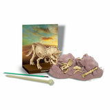 Triceratops Skeleton Excavation Kit, plaster, skeleton and tools 