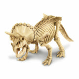 Triceratops Skeleton Excavation Kit, skeleton assembled 